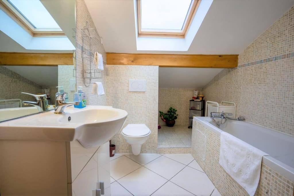 Cabana & Panorama Lac Annecy -Parking & Terrasse Sévrier Εξωτερικό φωτογραφία